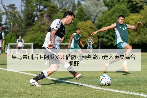 img_1783861735074_786_1_721.jpg